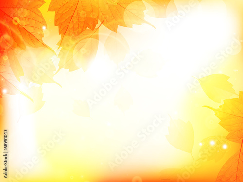 Autumn design background with leaves