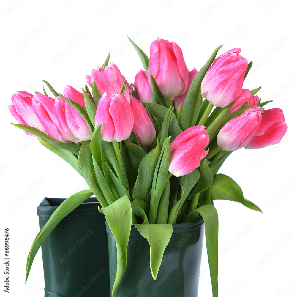 pink tulips