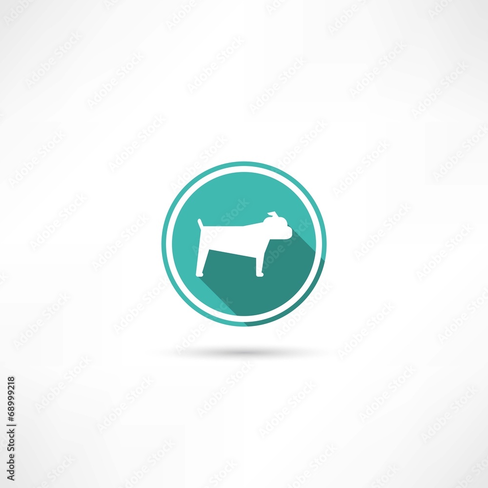dog icon dog icon
