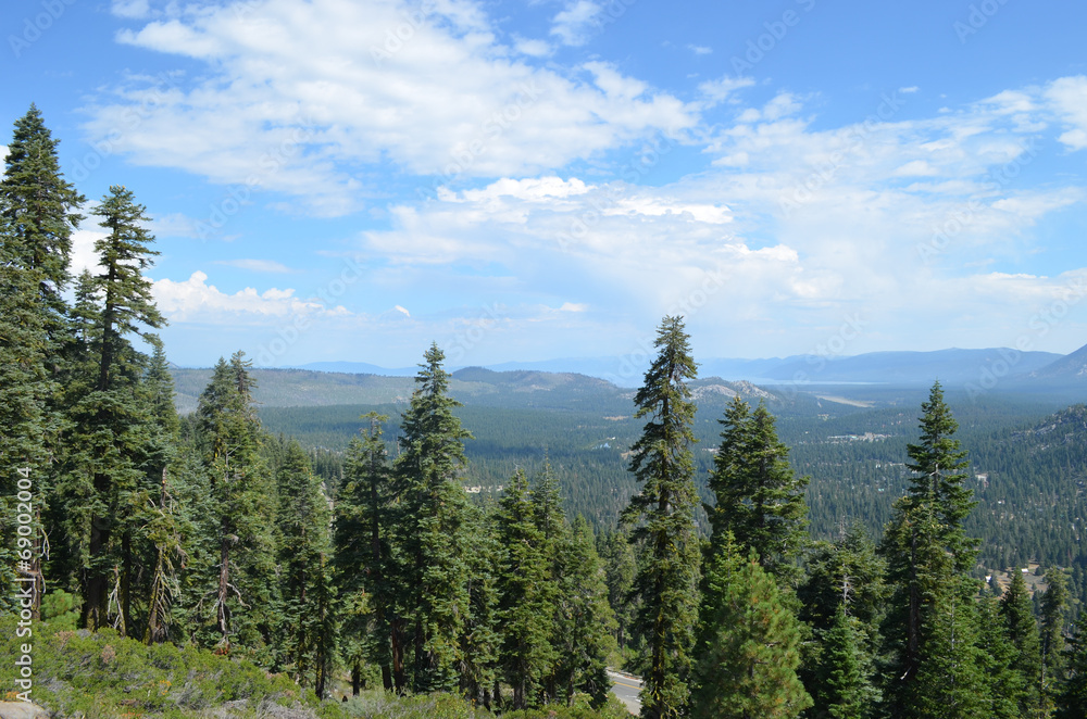 view through pines from Echo summit on Sierra Nevada and Tahoe