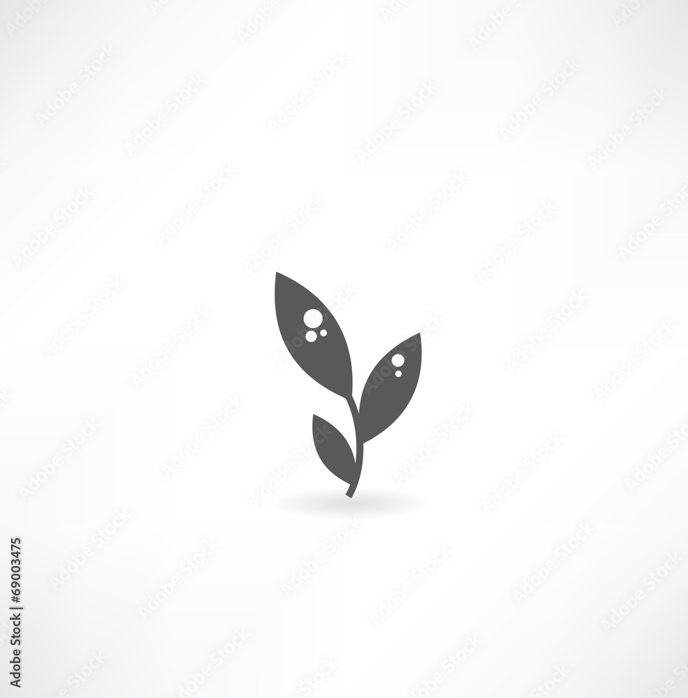 vector icon leaf vector icon leaf