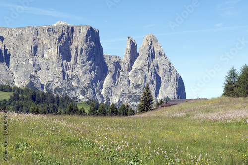 Schlern, Seiser, Alm, Dolomiten, photo