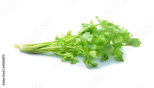 Celery on white background