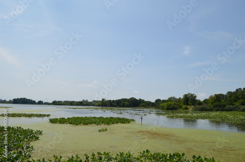 Εκτύπωση καμβά marsh and forest in John Heinz Wildlife Refuge