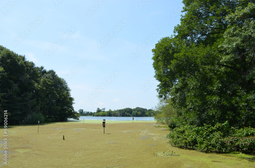 Ταπετσαρία Marsh and forest in John Heinz Wildlife Refuge