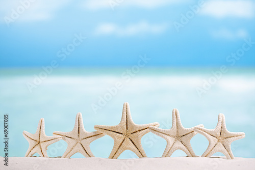 5 stars fish, white starfish with ocean, boat, white sand beach, photo