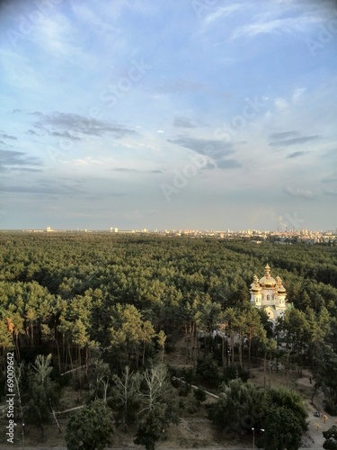 Church in the forest