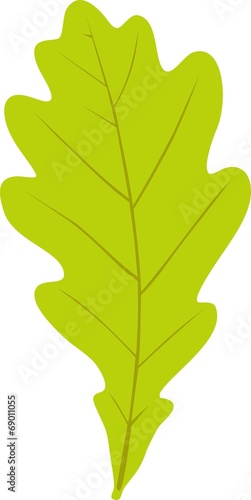 Green oak leaf