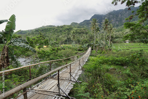 Tropical landscape in the way to Bajawa photo
