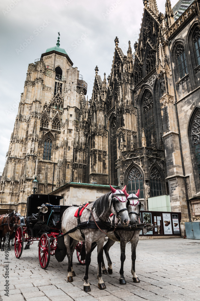 Fototapeta Konie przed katedrą św. Szczepana w Wiedniu