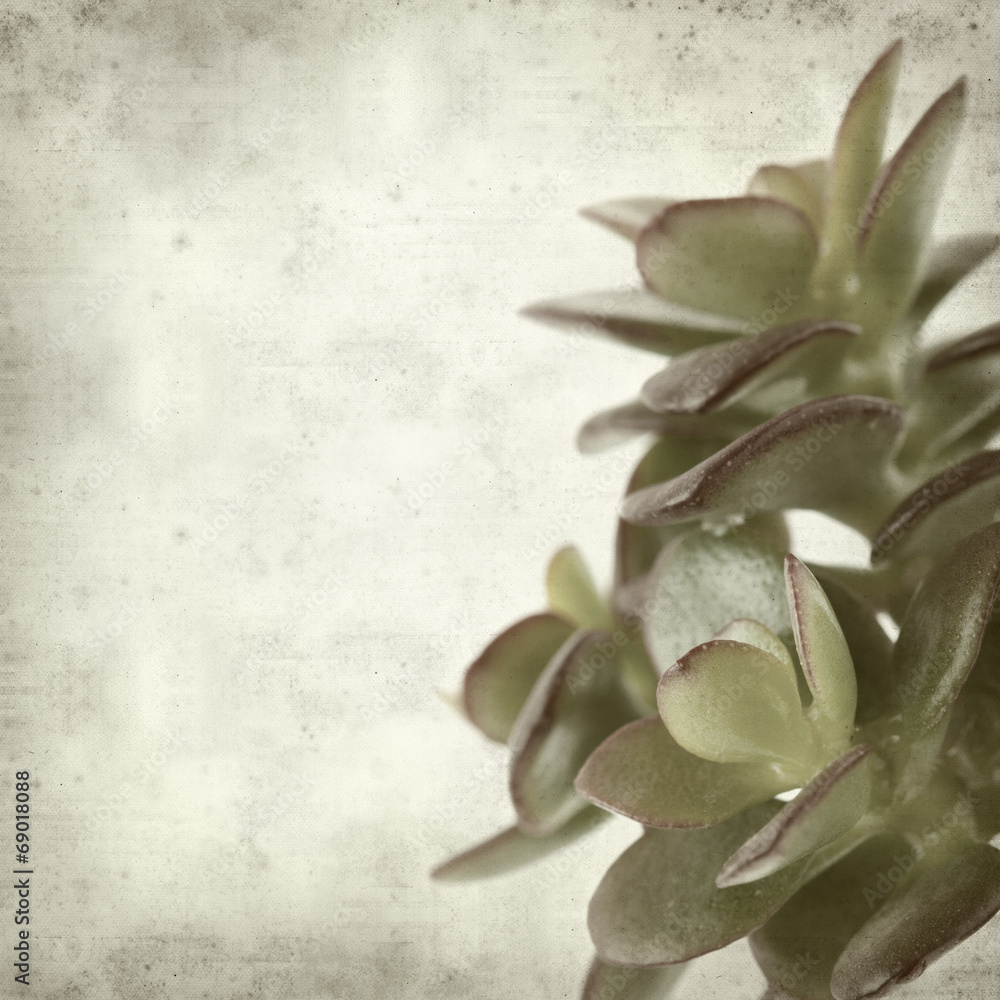 textured old paper background textured old paper background