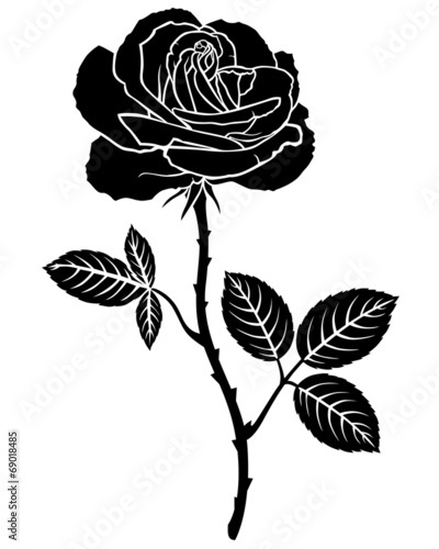 Rose flower silhouette