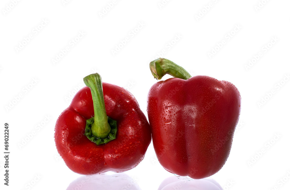 twin pepper twin pepper