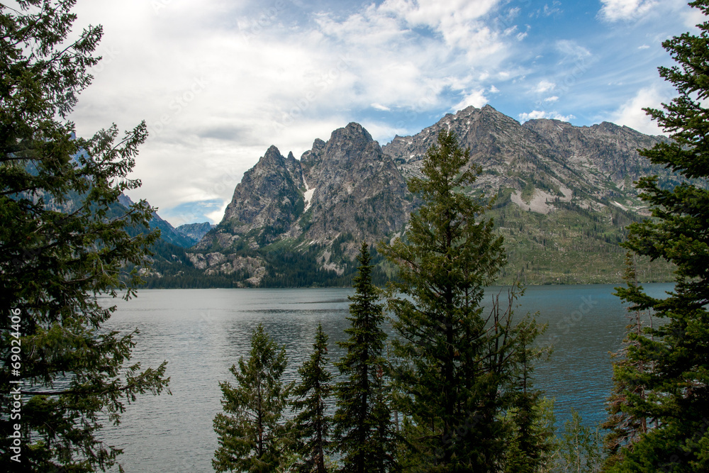 Tetons through the Treetops