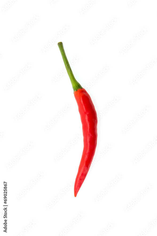 Chilli isolated on white Chilli isolated on white