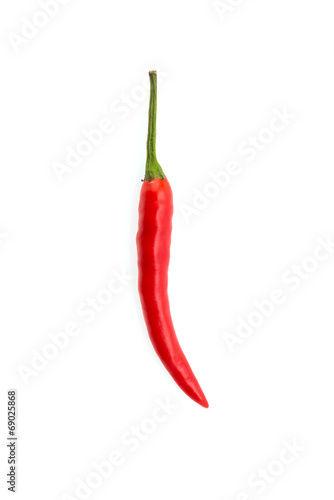 Chilli isolated on white