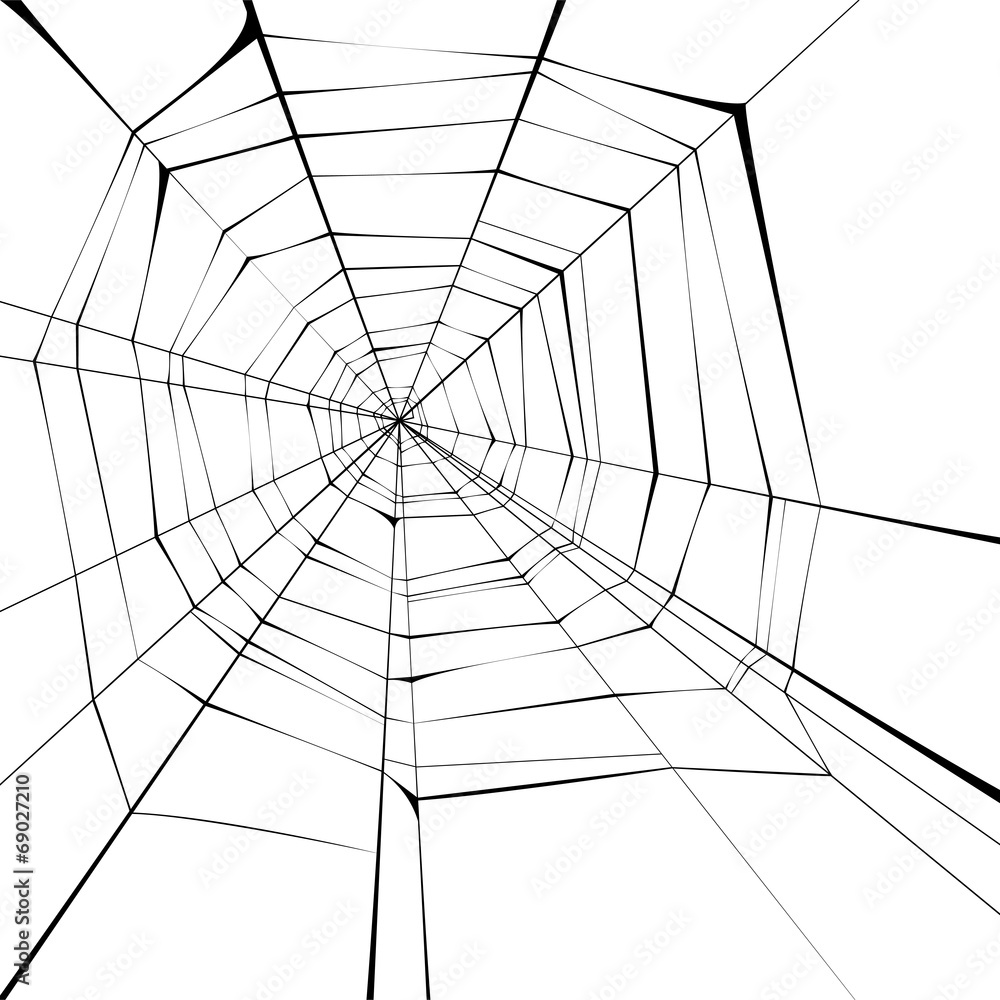 Obraz premium spider web