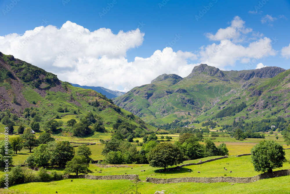 Langdale Valley Lake District Cumbria England UK in summer