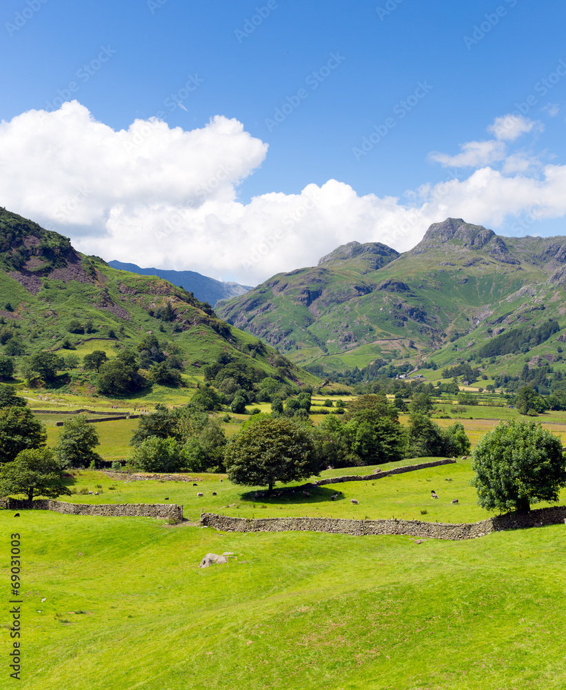 Langdale Valley Lake District Cumbria England UK in summer