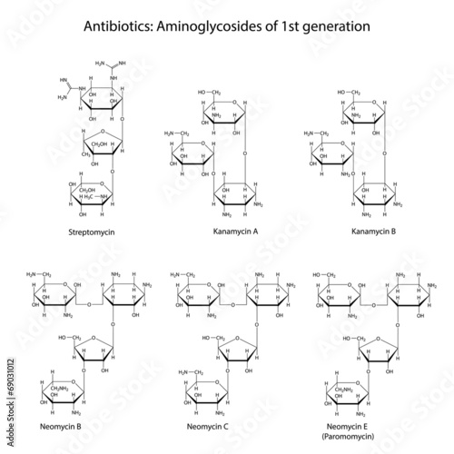 Structural chemical formulas of aminoglycoside antibiotics