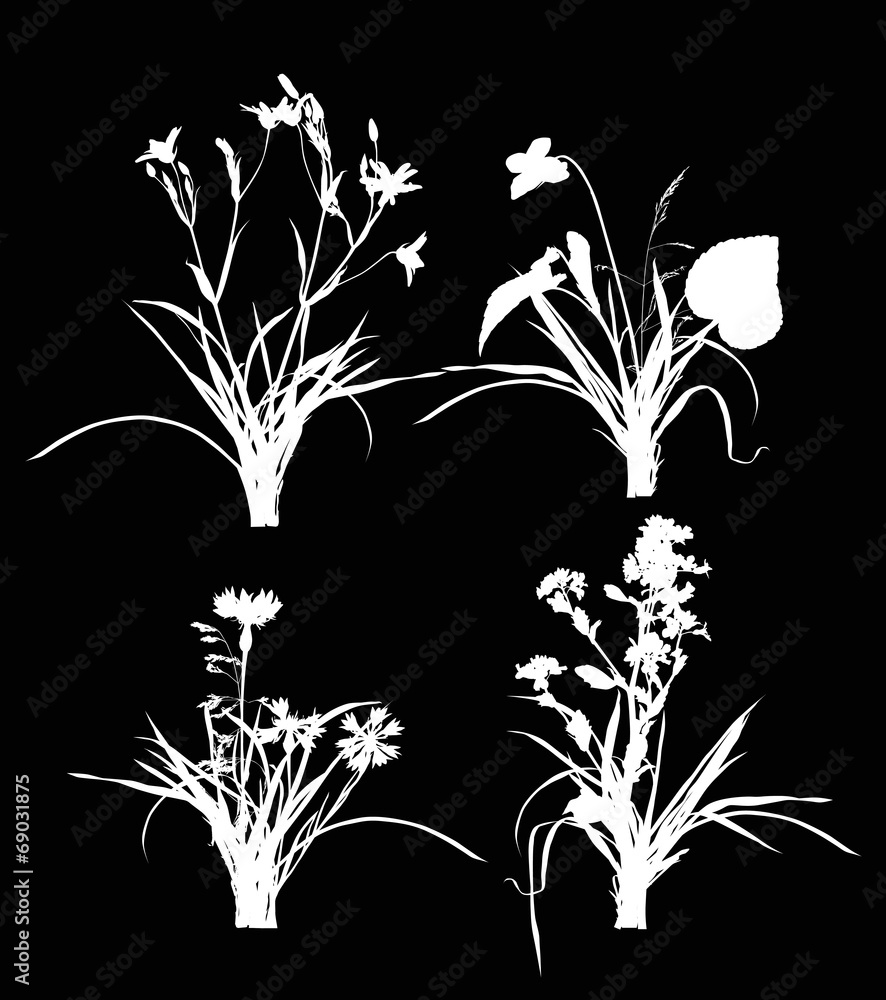 set of wild flowers in grass silhouettes on black - obrazy, fototapety, plakaty 