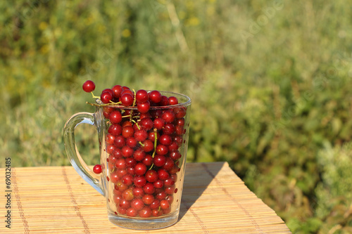 Berries photo