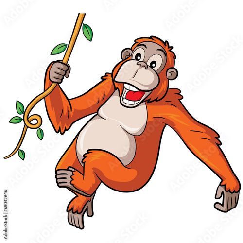 Orangutan Cartoon