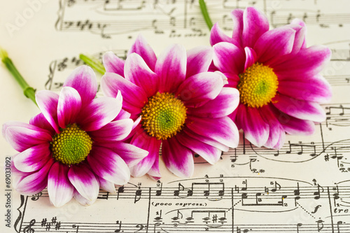 Flowers on sheet music