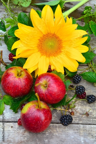 Herbstlich - Sonnenblume