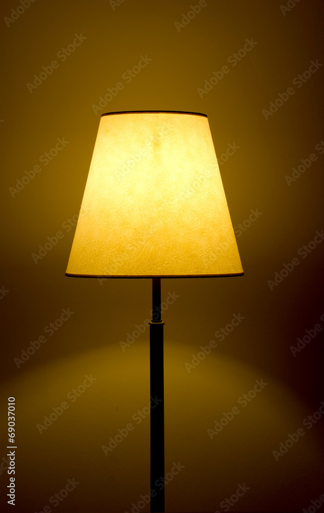 Floor warm lamp and light