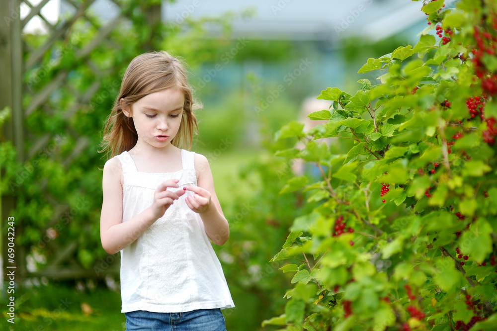Adorable little girl pickind red currants Adorable little girl pickind red currants
