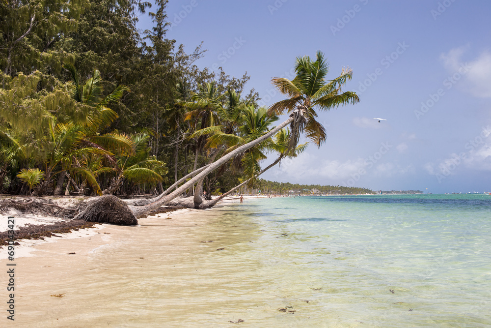 Obraz premium Tropical Beach