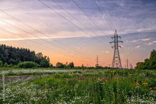 High voltage power line in flower meadow photo