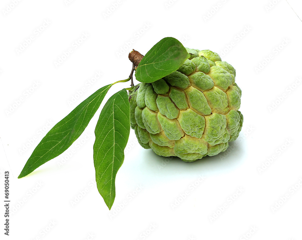 Custard apple fruit with white isolate background Custard apple fruit with white isolate background