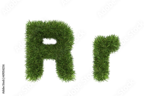 Grass letters  upper and lowercase 