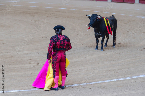 Bullfighter and bull