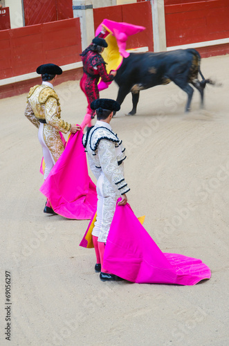 Two bullfighters