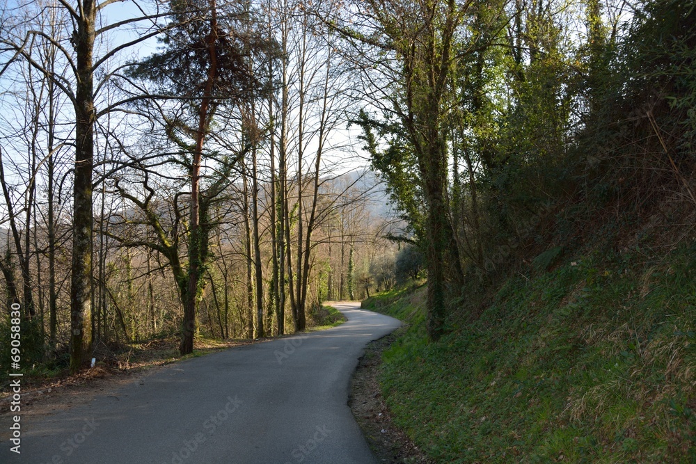Fototapeta premium Strada di campagna