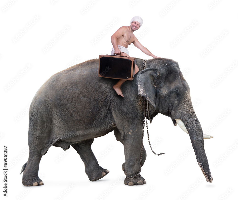 Fototapeta szczęśliwy mahout jeździ na słoniu niosącym walizkę