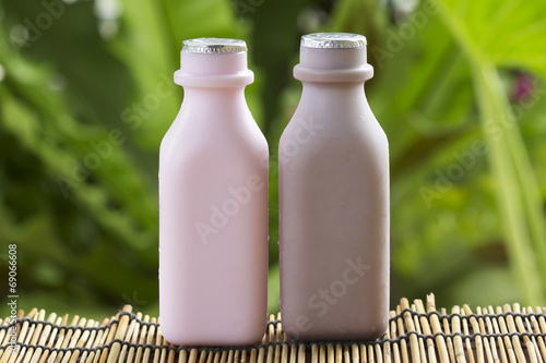 Fresh Chocolate and Strawberry flavour Milk