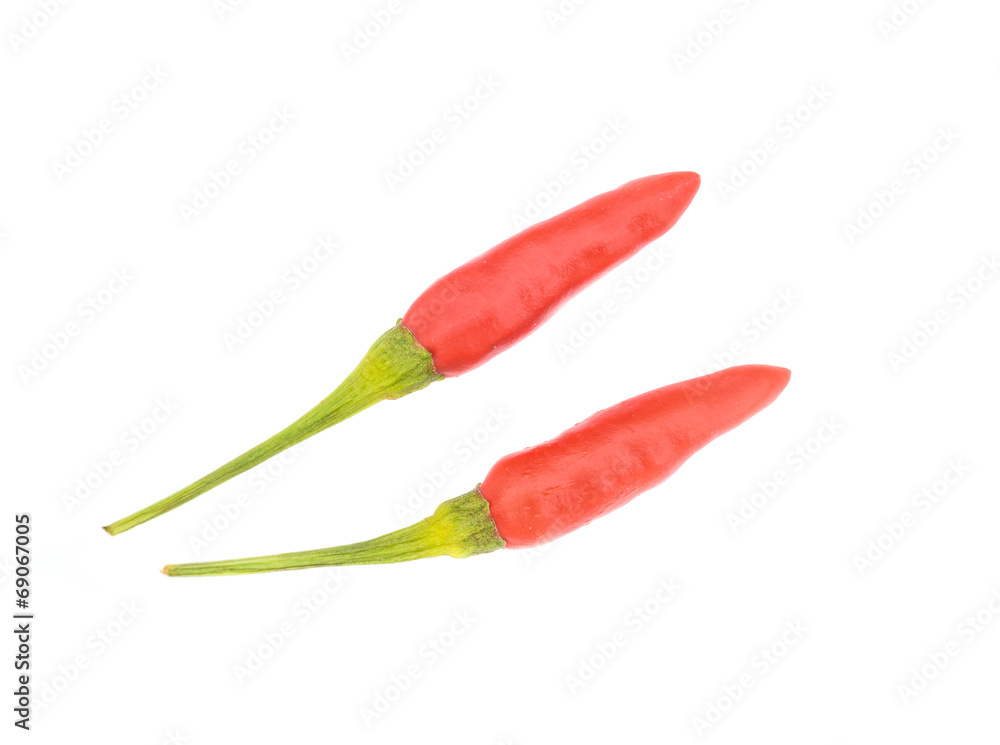 red hot peppers  on white background