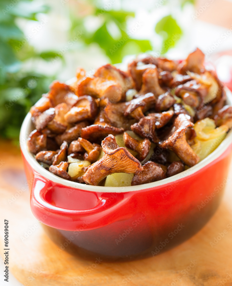Chanterelle mushrooms with boiled potatoes in a pot Chanterelle mushrooms with boiled potatoes in a pot