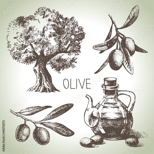 Hand drawn olive set