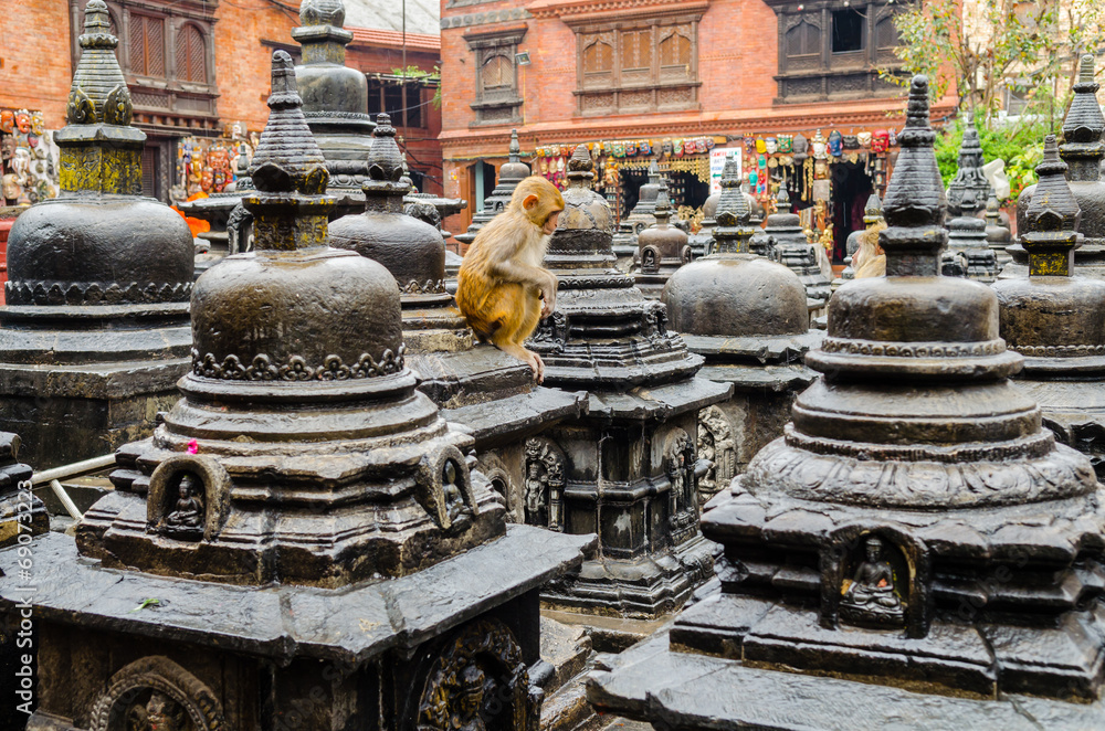 Fototapeta premium Swayambhunath stupa in Kathmandu