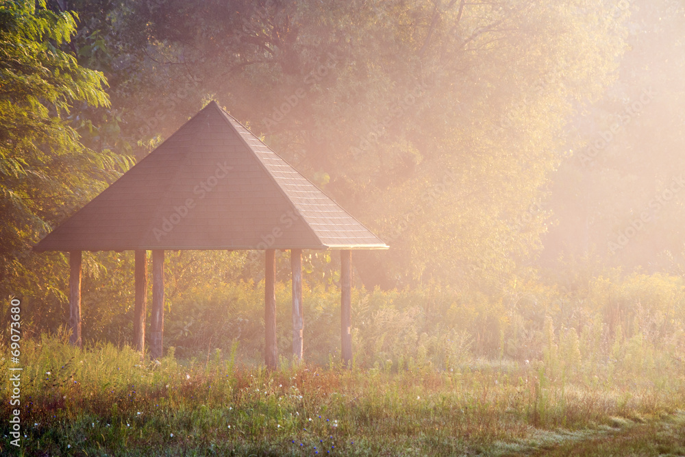 Fototapeta premium Gazebo in the forest in beautiful morning