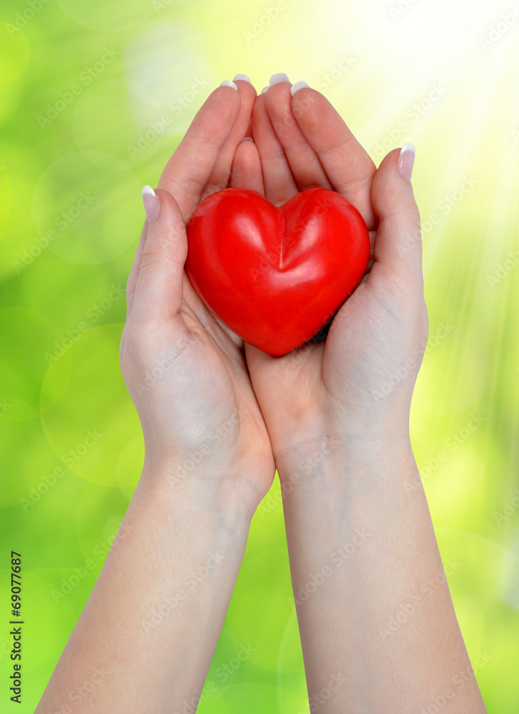 Fototapeta premium heart in hands on green natural background