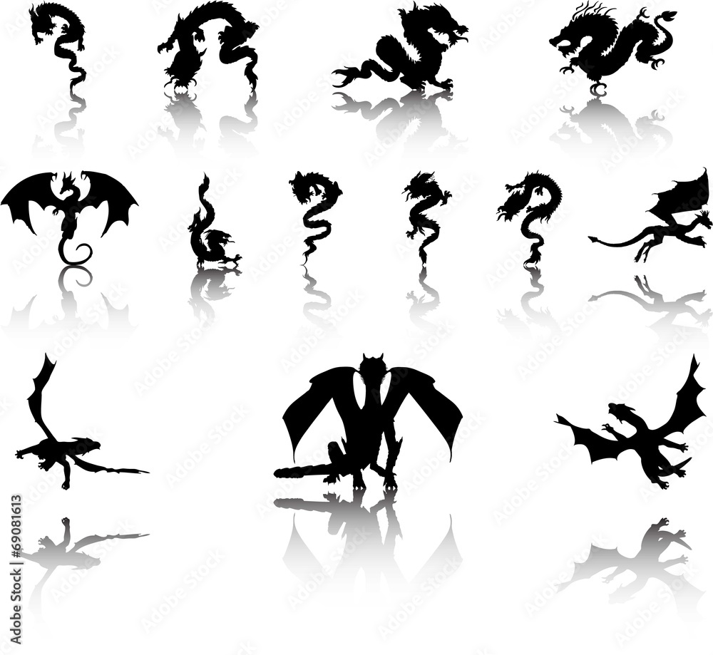 Illustrations of Dragons with Shadows