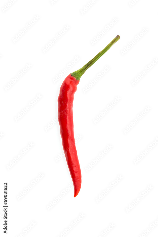 Chilli isolated on white Chilli isolated on white