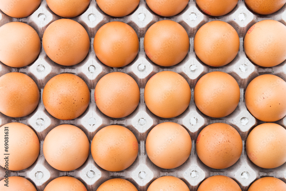 Eggs Eggs