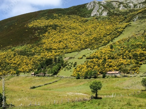 Montañas de Leon y Asturias photo